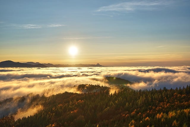 Bezpłatne pobieranie darmowego zdjęcia zachodu słońca i wschodu słońca mglistego lasu do edycji za pomocą bezpłatnego edytora obrazów online GIMP