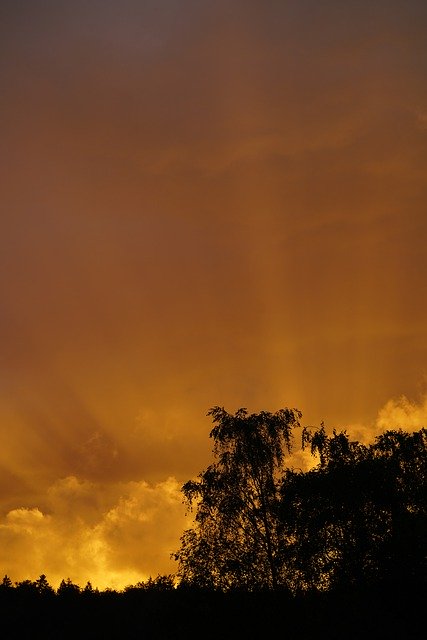 Free download Sunset Sunrise Sunbeam -  free photo or picture to be edited with GIMP online image editor
