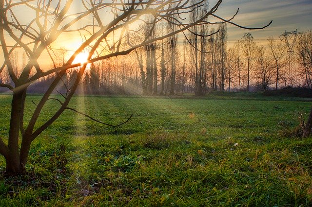 Descărcare gratuită Sunset Sun Trees - fotografie sau imagini gratuite pentru a fi editate cu editorul de imagini online GIMP