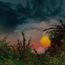 Sunset Through the Grass  screen for extension Chrome web store in OffiDocs Chromium