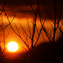 Sunset Through the Trees  screen for extension Chrome web store in OffiDocs Chromium