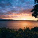 Sun Setting Over Water with a Tree  screen for extension Chrome web store in OffiDocs Chromium
