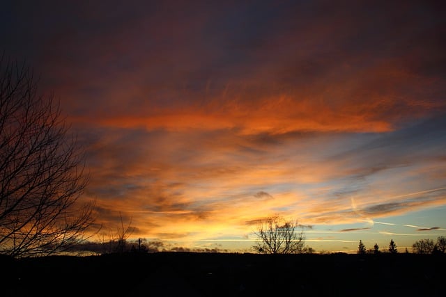 Free download sunset tree clouds dawn free picture to be edited with GIMP free online image editor