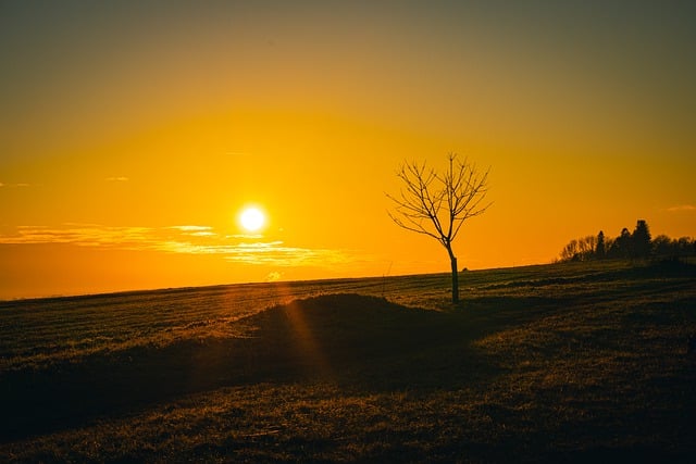 Free download sunset tree landscape heaven sun free picture to be edited with GIMP free online image editor