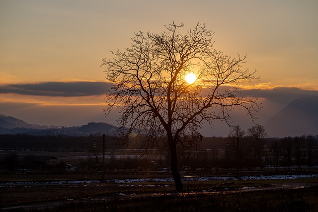 Free download sunset tree nature dusk outdoors free picture to be edited with GIMP free online image editor