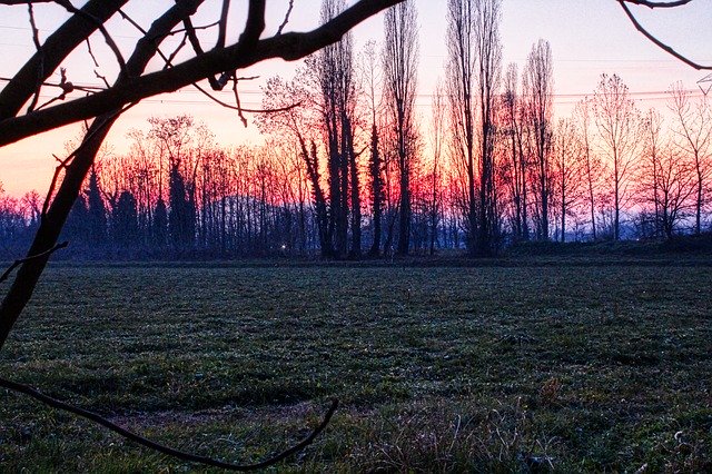 Téléchargement gratuit de Sunset Trees Colors - photo ou image gratuite à modifier avec l'éditeur d'images en ligne GIMP