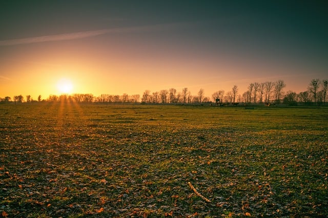 Free download sunset trees field grassland free picture to be edited with GIMP free online image editor