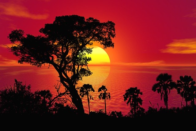 Muat turun percuma Sunset Trees Nature - foto atau gambar percuma untuk diedit dengan editor imej dalam talian GIMP