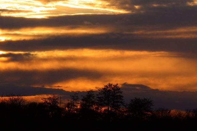 Free download sunset trees nature sky clouds free picture to be edited with GIMP free online image editor