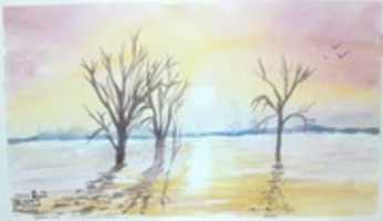 Free download sunset , trees & water free photo or picture to be edited with GIMP online image editor