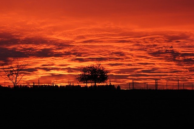 Free download Sunset Tree With Red -  free photo or picture to be edited with GIMP online image editor