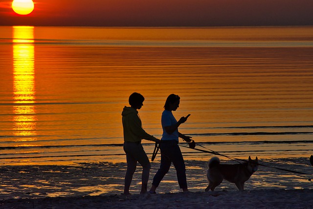 Free download sunset walking on the beach sea free picture to be edited with GIMP free online image editor