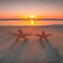 sunset wallpaper on the sea and two starfish  screen for extension Chrome web store in OffiDocs Chromium
