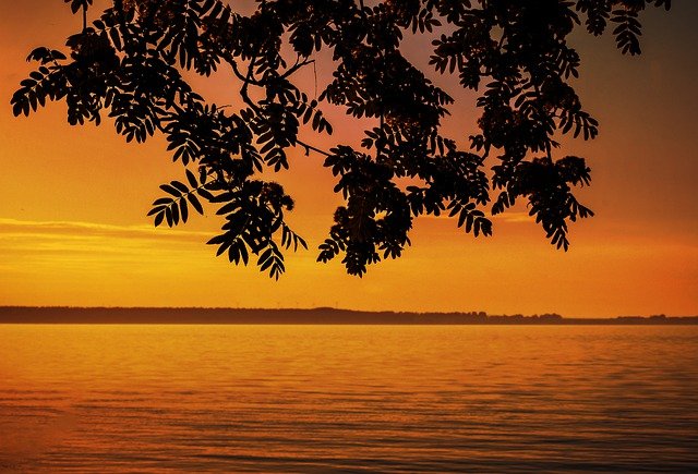 Free graphic sunset water lake branch leaf to be edited by GIMP free image editor by OffiDocs
