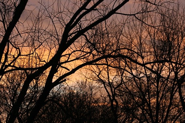 Muat turun percuma Sunset Winter Clouds - foto atau gambar percuma untuk diedit dengan editor imej dalam talian GIMP