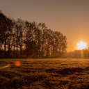 Sunshine on the field  screen for extension Chrome web store in OffiDocs Chromium