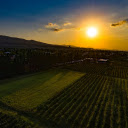 Sunshine on the grape fields  screen for extension Chrome web store in OffiDocs Chromium