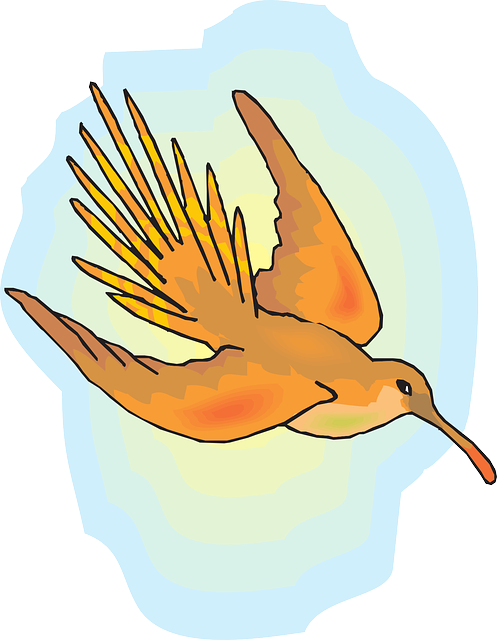 Free download Sun Sky Bird - Free vector graphic on Pixabay free illustration to be edited with GIMP free online image editor