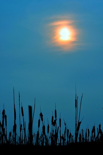 Free download Sun Sunset Blue -  free photo or picture to be edited with GIMP online image editor
