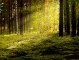 Free download Sun Wisher Expand Your Knowledge free photo or picture to be edited with GIMP online image editor