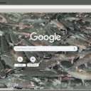 Suoi Ca Than Cam Thuy  screen for extension Chrome web store in OffiDocs Chromium