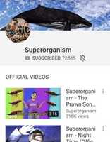 Free download Superorganism Music free photo or picture to be edited with GIMP online image editor