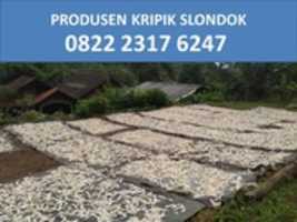 Free download Supplier Jual Slondok Kiloan Cimahi, TLP. 0822 2317 6247 free photo or picture to be edited with GIMP online image editor