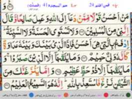 Free download surah-41-aya-33-37-color free photo or picture to be edited with GIMP online image editor