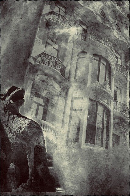 Free download Surreal Bird Fog -  free illustration to be edited with GIMP free online image editor