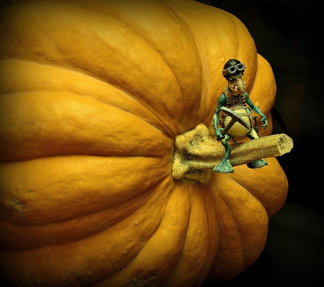 Gratis download Surrealisme Pumpkin Toy - gratis foto of afbeelding om te bewerken met GIMP online afbeeldingseditor