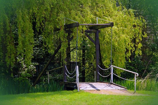 Free download Suspension Bridge Wild Haunting -  free photo or picture to be edited with GIMP online image editor