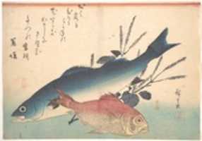 Free download Suzuki and Kinmedai Fish from the series Uozukushi (Every Variety of Fish) free photo or picture to be edited with GIMP online image editor