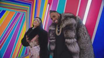 Free download swalla free photo or picture to be edited with GIMP online image editor