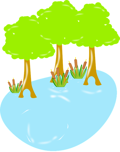 Free download Swamp Biology Wildlife -  free illustration to be edited with GIMP free online image editor