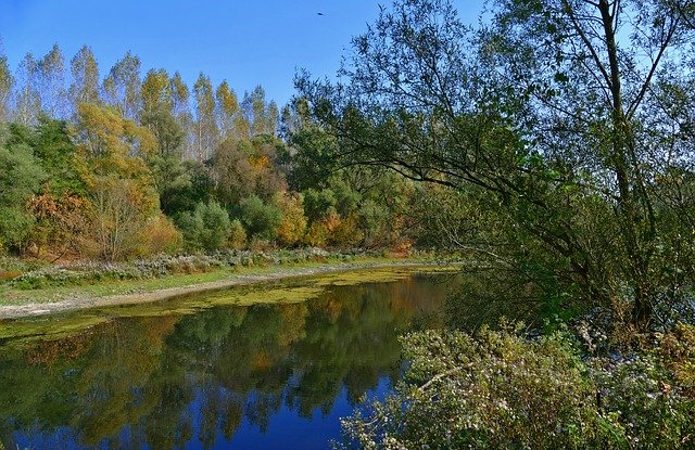 Free picture Swamp Istragonov Area The -  to be edited by GIMP free image editor by OffiDocs