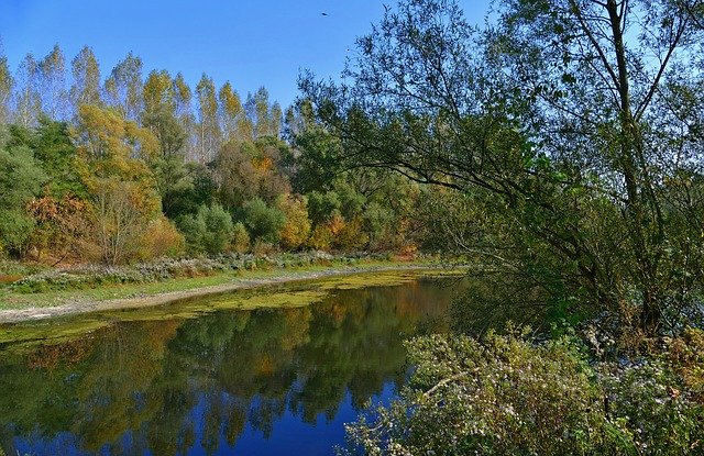 Free download Swamp Istragonov Area The -  free photo or picture to be edited with GIMP online image editor