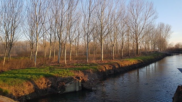 Бесплатно скачать Болотные Деревья Вода - бесплатную фотографию или картинку для редактирования с помощью онлайн-редактора изображений GIMP