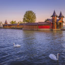 Swan and house on the lake  screen for extension Chrome web store in OffiDocs Chromium
