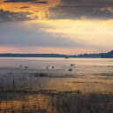Swan lake afternoon  screen for extension Chrome web store in OffiDocs Chromium