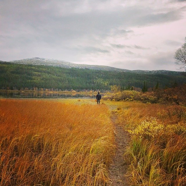 Muat turun percuma Sweden Nature Mountain - foto atau gambar percuma untuk diedit dengan editor imej dalam talian GIMP