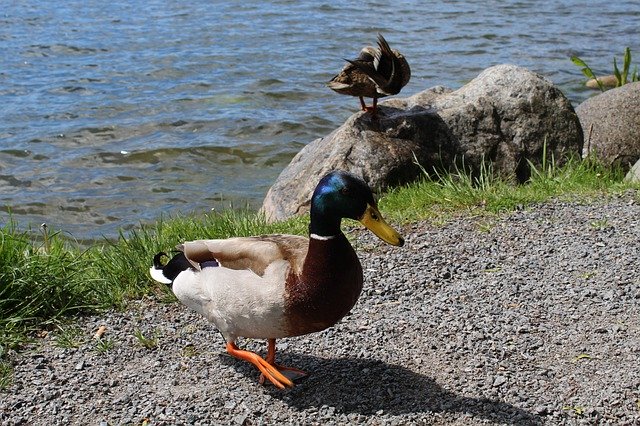 ດາວ​ໂຫຼດ​ຟຣີ Sweden Stockholm Lake - ຮູບ​ພາບ​ຟຣີ​ຫຼື​ຮູບ​ພາບ​ທີ່​ຈະ​ໄດ້​ຮັບ​ການ​ແກ້​ໄຂ​ກັບ GIMP ອອນ​ໄລ​ນ​໌​ບັນ​ນາ​ທິ​ການ​ຮູບ​ພາບ​