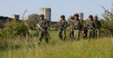 Free download Swedish Soldiers Outside Castle - Photograph free photo or picture to be edited with GIMP online image editor