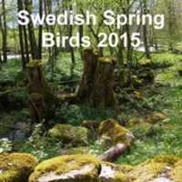 Free download swedish_spring_birds-2015_cover free photo or picture to be edited with GIMP online image editor