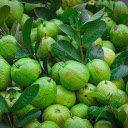 Sweet and crunchy guava  screen for extension Chrome web store in OffiDocs Chromium