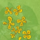 Sweet Osmanthus  screen for extension Chrome web store in OffiDocs Chromium