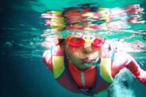 Free download Swimming Games For Kids free photo or picture to be edited with GIMP online image editor
