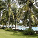 swimming pool and coconut trees  screen for extension Chrome web store in OffiDocs Chromium