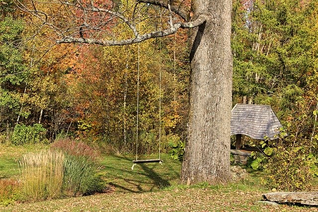 دانلود رایگان Swing Trees Wells - عکس یا تصویر رایگان رایگان برای ویرایش با ویرایشگر تصویر آنلاین GIMP