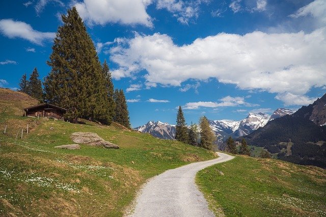 Скачать бесплатно Switzerland Mountain Green - бесплатное фото или изображение для редактирования с помощью онлайн-редактора изображений GIMP