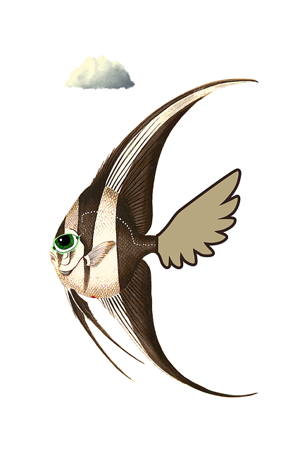 Free download Swordfish Cloud Comic -  free illustration to be edited with GIMP free online image editor